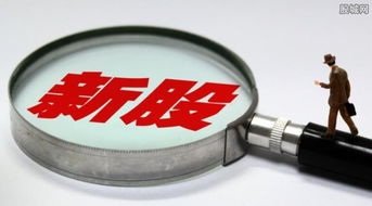 7只新股今日聯袂上市，盛天網絡領銜互聯網游戲服務板塊大漲44%遭臨停